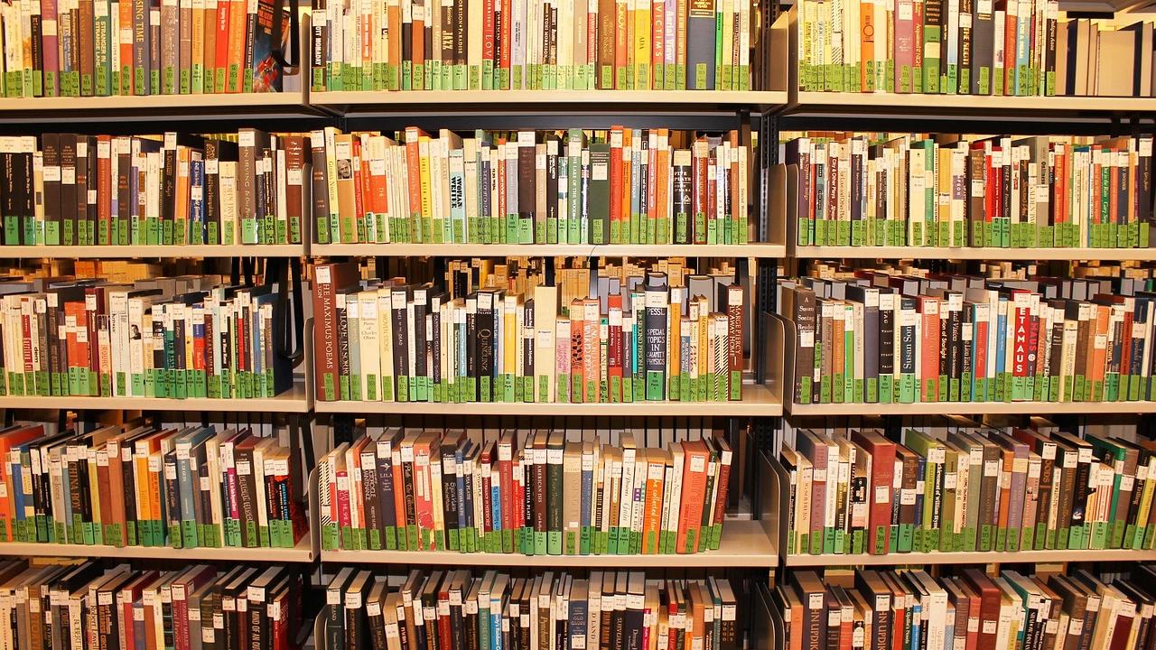 Bücherei Symbolfoto