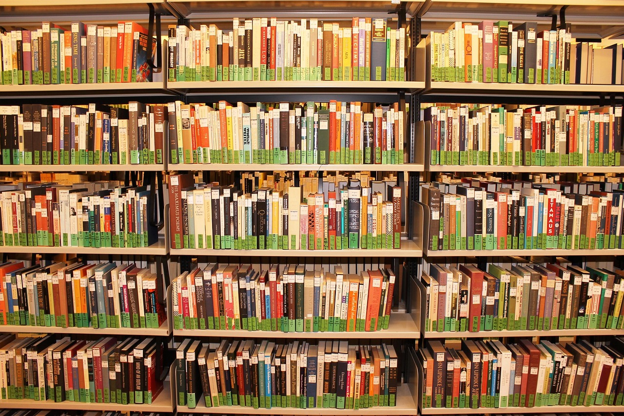Bücherei Symbolfoto (c) Pixabay (A. Mitterbacher) Bücherei Symbolfoto
