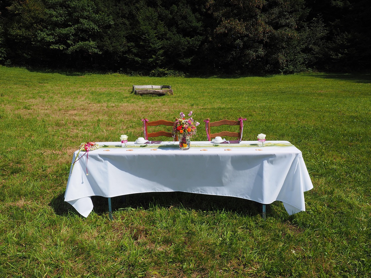 Ein gedeckter Tisch steht auf einer Wiese