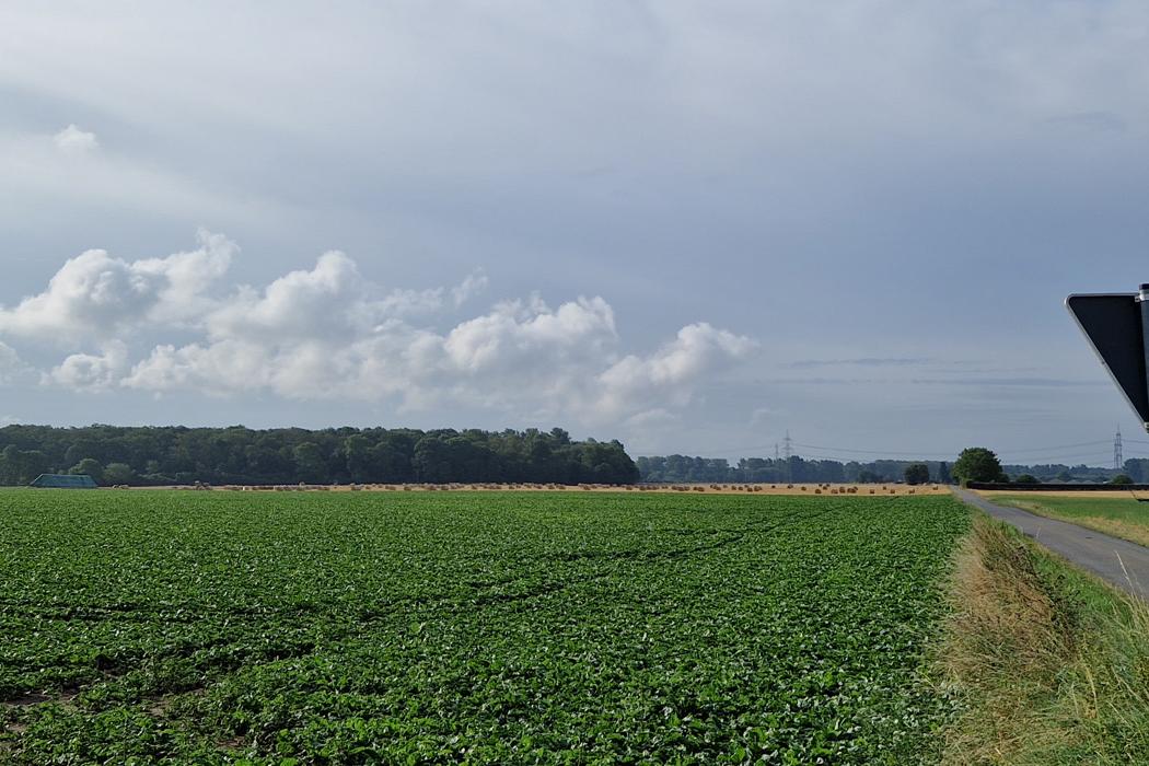 KGV Dormagen-Nord